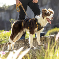 Rogz AirTech Adventure Harness