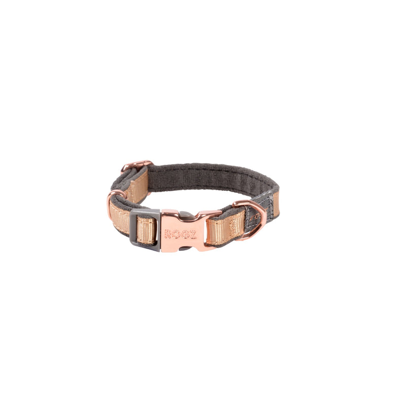 Rogz Dogz Urban Range Classic Collar - Gold Rush