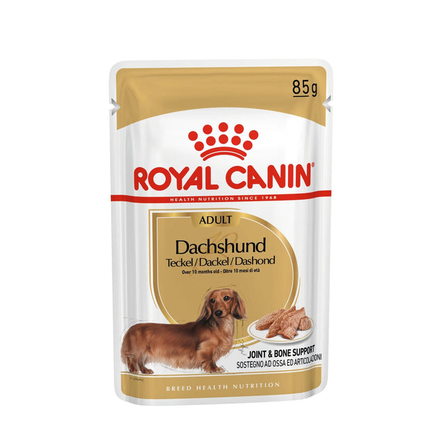 Royal Canin Breed Specific Wet Dog Food - Dachshund Adult Pouch - Single