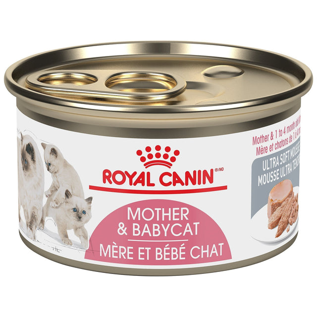 Royal Canin Feline Wet Cat Food - Mousse - Babycat Instinctive Wet Mousse (Single)