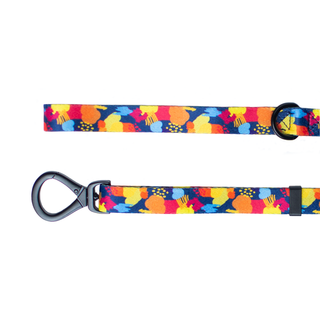 Urbanpaws Frank Lead