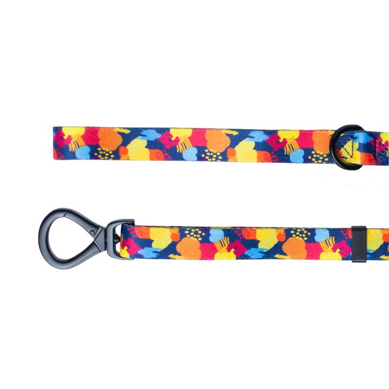 Urbanpaws Frank Lead