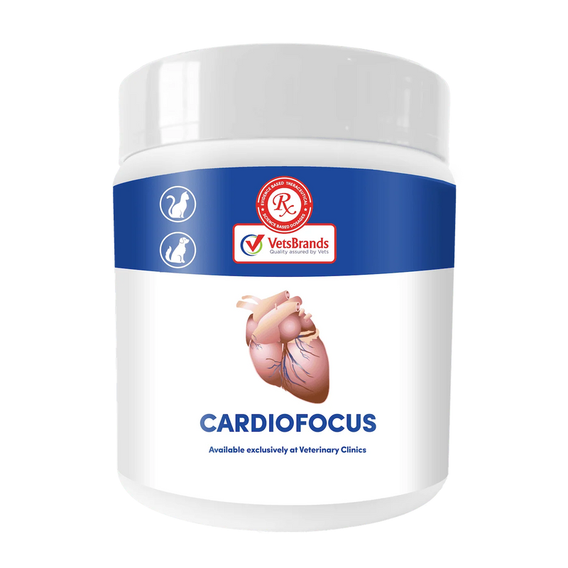 VetsBrands Cardiofocus