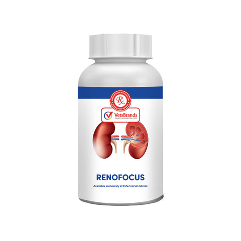 VetsBrands RenoFocus Tabs - 100
