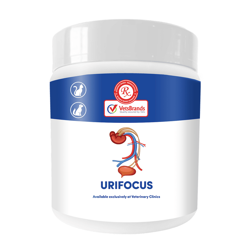 Vetsbrands Urifocus