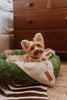 Huntlea Polar Fleece Dog Blanket