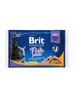 Brit Premium Cat Pouch Fish Plate - Wet Cat Food