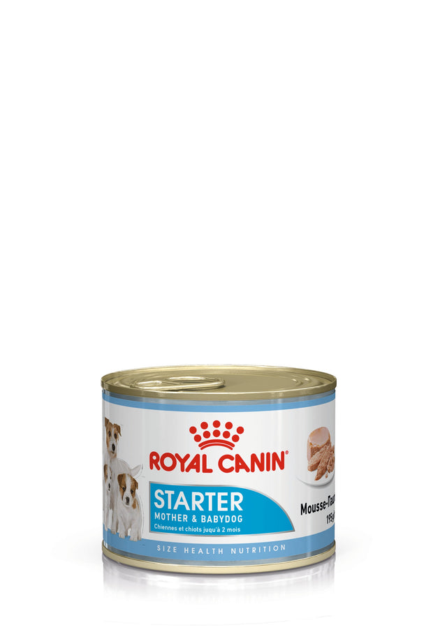 Royal Canin Dog Wet Maintenance Starter Mousse (Tray of 12 )