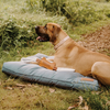 Huntlea Dog Tug Toy with Leather Bone Centre
