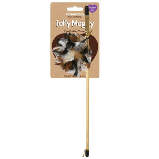Rosewood Pet Jolly Moggy Natural Catnip Feather Teaser Cat Toy