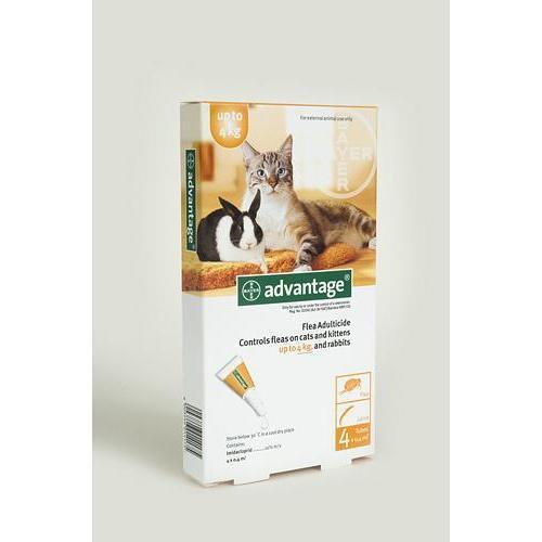 Advantage Cats 1- 4kg Orange (Box of 4) Pet Plus