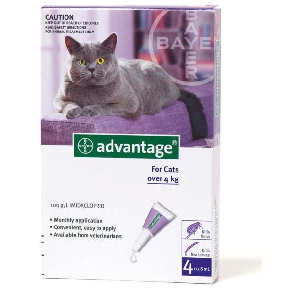 Advantage Cats 4kg-8kg Purple (Box of 4) Pet Plus