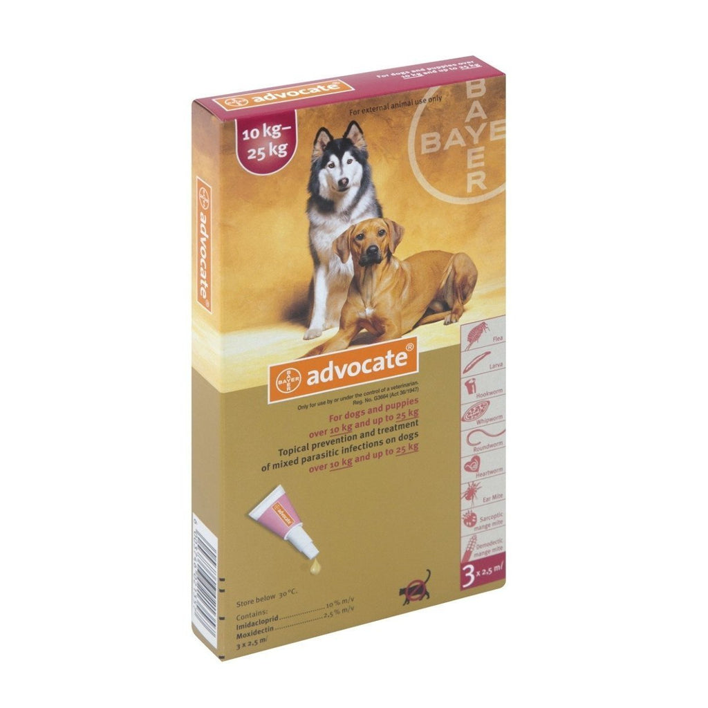Advocate Dogs 10-25kg Red (Box of 3) Pet Plus - Main Image