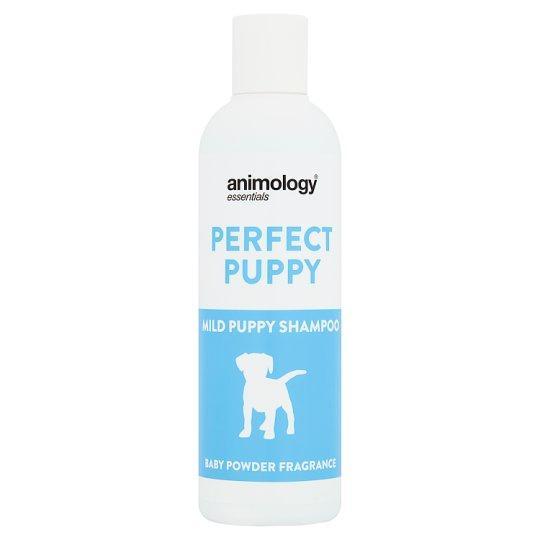 Animology Essentials Perfect Puppy Baby powder Mild Puppy Shampoo- 250ml