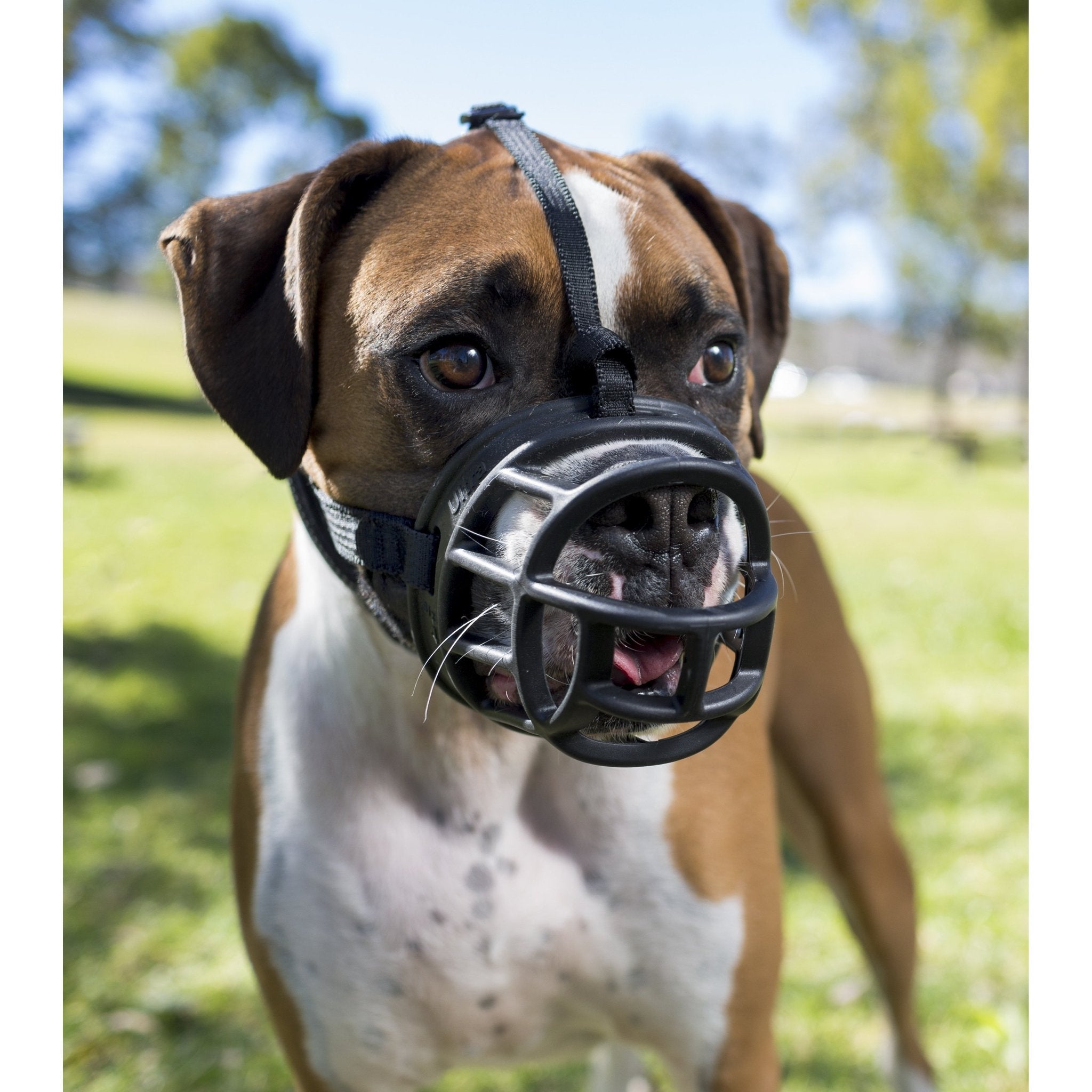 Baskerville Muzzle Ultra - Main Image