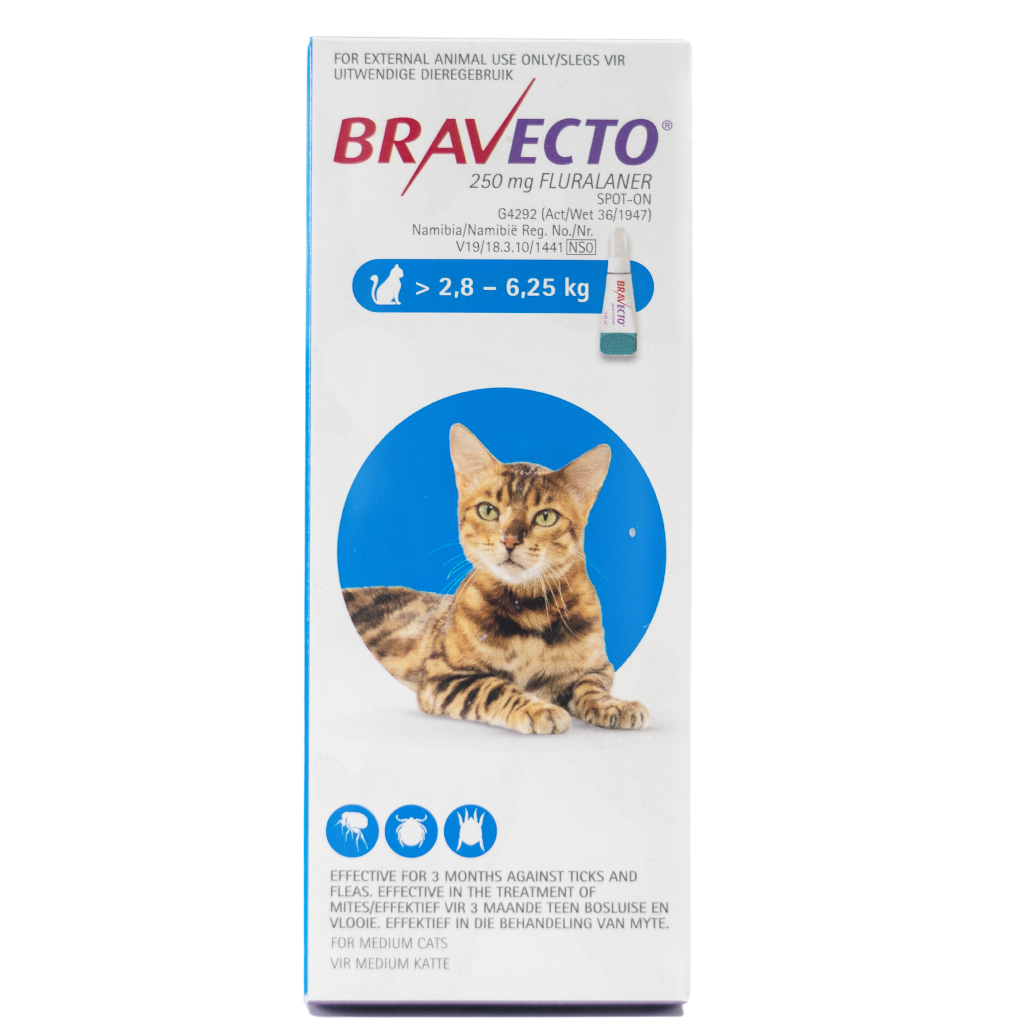 Bravecto online medium cat
