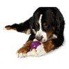Busy Buddy Bouncy Bone