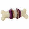 Busy Buddy Bristle Bone