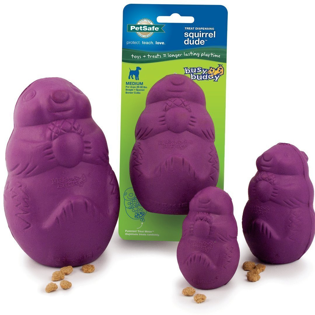 Busy Buddy Squirrel Dude