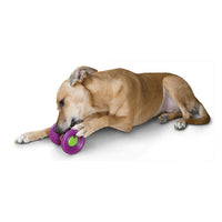 _Busy Buddy Ultra Woofer