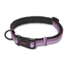 Company of Animals Halti Comfort Padded Collar - Purple