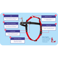 Company of Animals Halti Front Control Harness