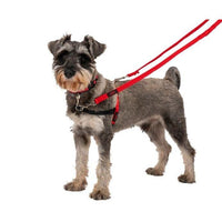 Company of Animals Halti Front Control Harness