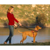 Company of Animals Halti Front Control Harness