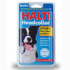 Company of Animals Halti Head Collar