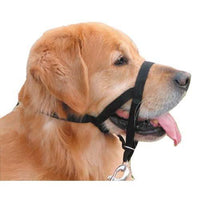Company of Animals Halti Head Collar