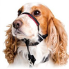 Company of Animals Halti Optifit Dog Head Collar