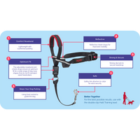 Company of Animals Halti Optifit Dog Head Collar