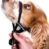 Company of Animals Halti Optifit Dog Head Collar