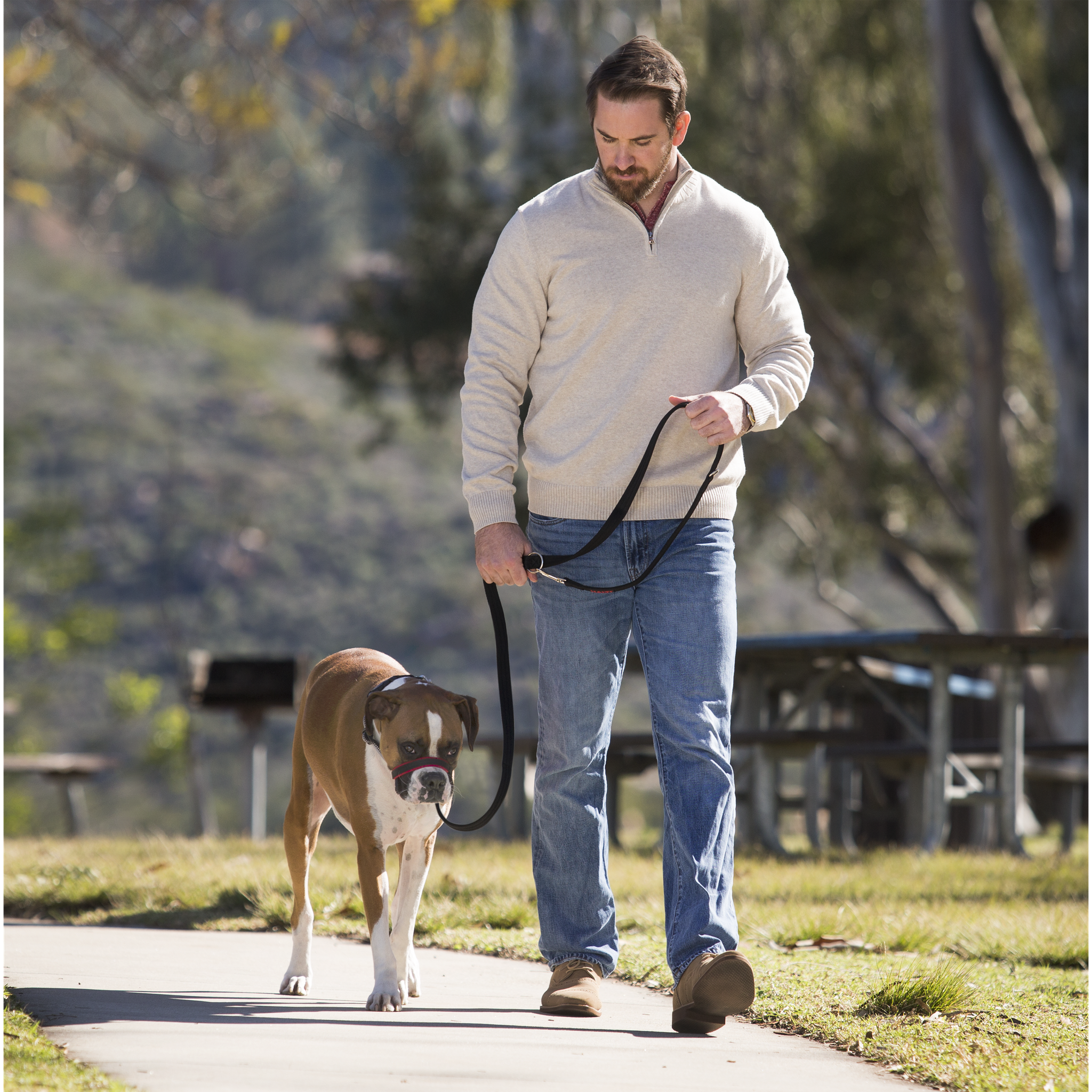 Company of Animals Halti Optifit Dog Head Collar Pet Plus