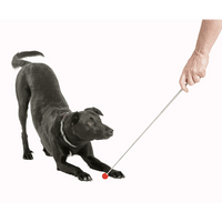 Company of Animals Metal Training Target Stick