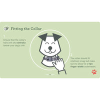 Company of Animals Pavlov Digital No Bark Collar (No Shock)