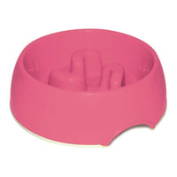 Dogma Slow Feeder Bowl