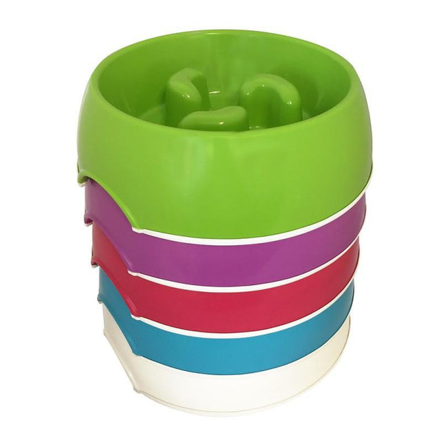 Dogma Slow Feeder Bowl