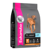 Eukanuba Adult Large Breed Lamb & Rice