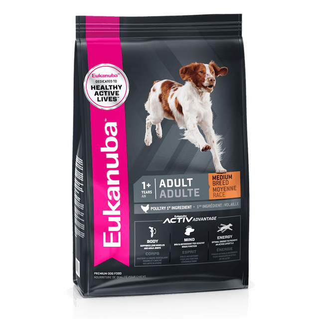 Eukanuba Adult Medium Breed Maintenance