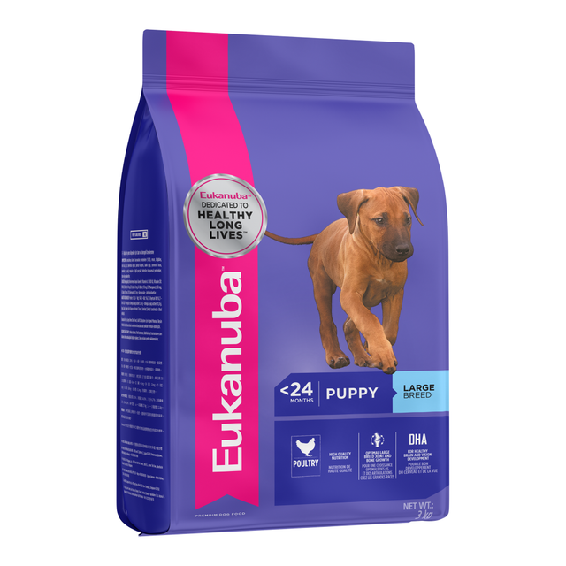 Eukanuba Puppy Large Breed