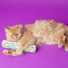 Fat Cat Kitty Kickz - Gold Fish Roll