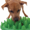 Green Slow Feeder For Dogs