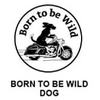 Instant Tag - Born To Be Wild Dog
