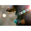 Instant Tag - Rescue Dogs Rule (Red)