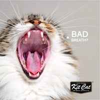 Kit Cat Breath bites