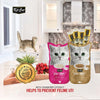 Kit Cat Purr Puree Plus + Urinary Care Chicken (4 x 15g)