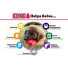 Kong Classic Red Treat Toy