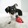 Kong Classic Red Treat Toy