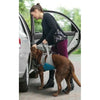 Kurgo Up & About Dog Lifter